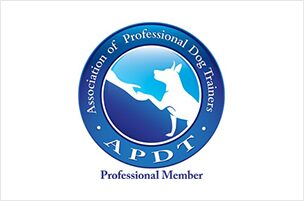Your Pro Dog Trainer