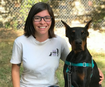 Your Pro Dog Trainer